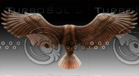 bird wings1.psd