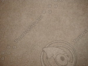 carpet1.jpg