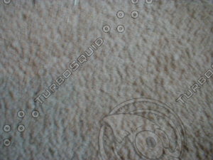 carpet21.jpg