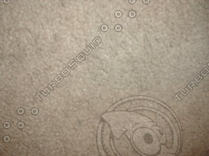 carpet5.jpg