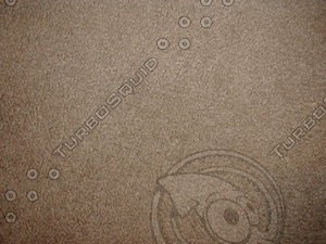 carpet8.jpg