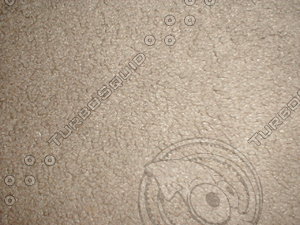 carpet9.jpg
