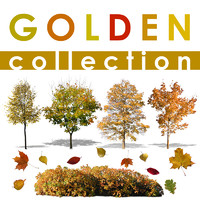 golden collection