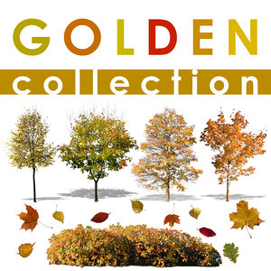 golden collection