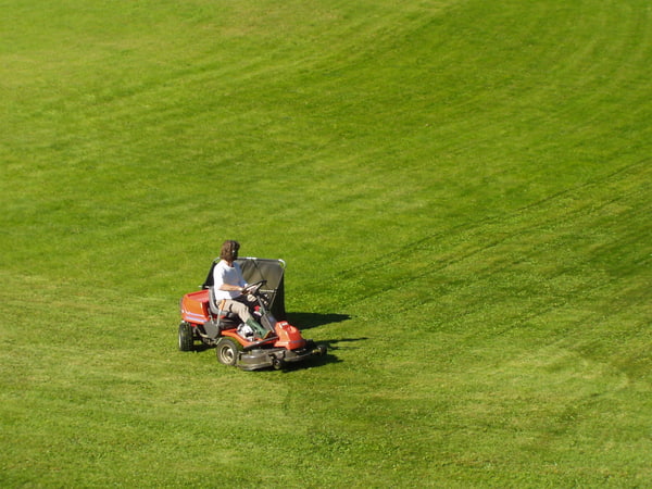 Stock JPEG grass cutting cutter