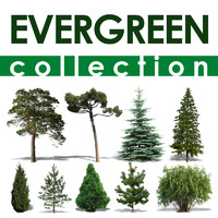 evergreen collection