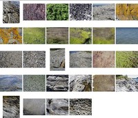 island_pack