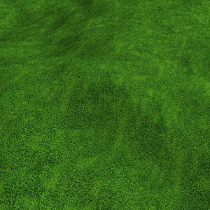 freeGrass