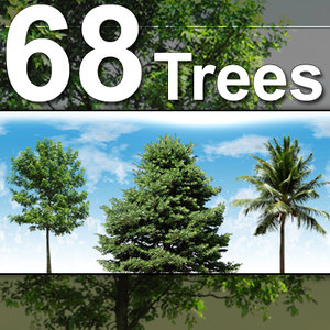 68_Tree_Textures-HiRes