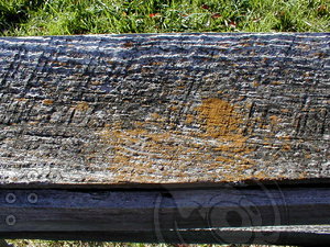 wood0025.jpg