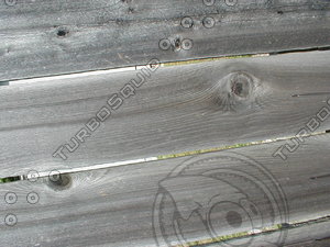 wood0101.jpg