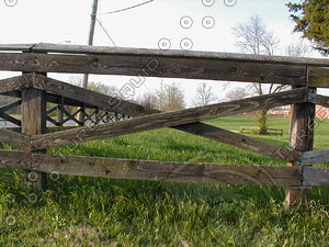 wood0275.jpg