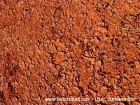 Australia ground 001.jpg