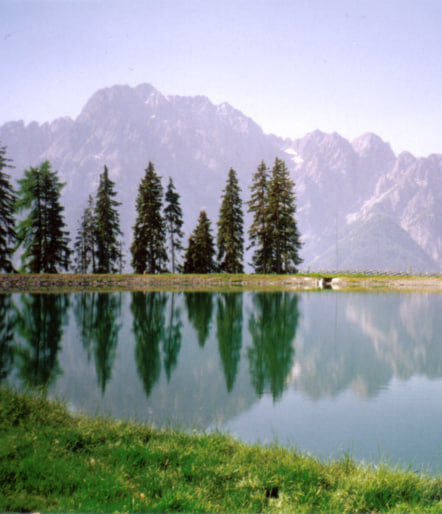  https://static.turbosquid.com/Preview/2014/08/01__13_22_41/Austria+29.jpg531593b0-6884-43fb-a448-49872757a331Larger.jpg