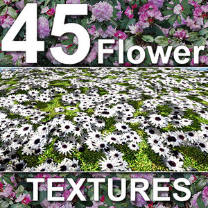 45_Flower_Textures