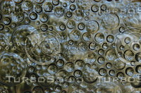 Glass Bubbles
