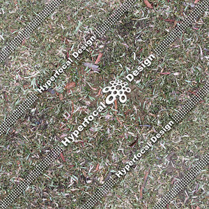 HFDJT_GrassLeaves02_Sml.jpg