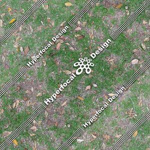 HFDJT_GrassLeaves03_Lge.jpg