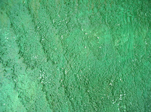 green wall texture