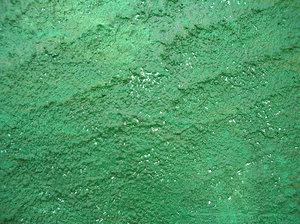 green wall texture