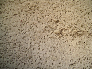 grunge wall texture