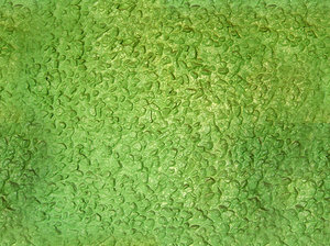 seamless rough green wall texture