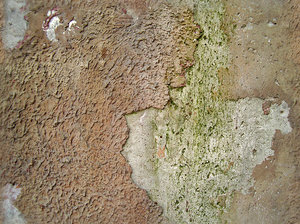 seamless grunge wall texture