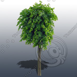 JTX_TREE020.psd