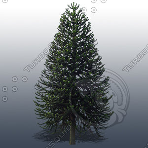 JTX_TREE023.psd