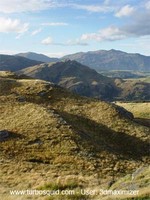 New Zealand landscape 015.jpg