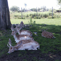PICT0047.JPG