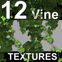 12_Vine_Textures