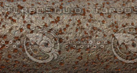 Rust