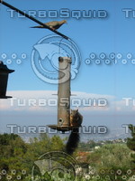 Squirrel & Dove 01.JPG