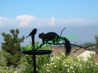 Squirrel 07.JPG