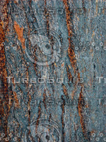 Tree bark 0092.JPG