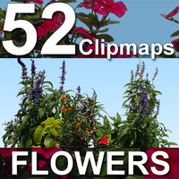 52-Flowers-Vertical
