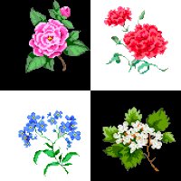 checkflower.bmp