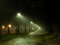 Night Alley in Fog