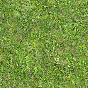leafygrass1_1024x.bmp