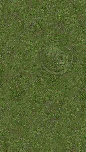  https://static.turbosquid.com/Preview/2014/08/01__13_22_41/moss.jpg8b8c631b-4930-4b9e-9b78-fb574d167816Larger.jpg