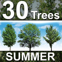30_Summer_Trees-HiRes