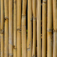 Rush Fence High Resolution.jpg