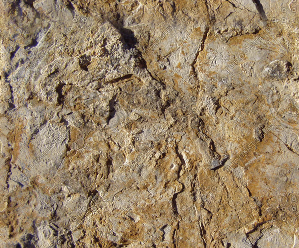 Texture JPEG Rock Crack Concrete