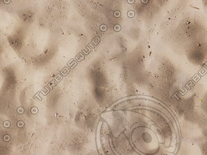 sand01.jpg