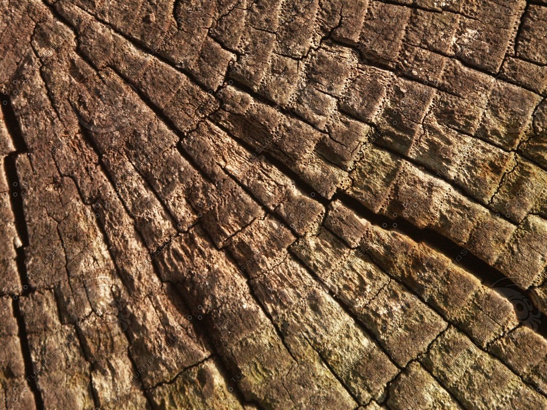Stock Other wood