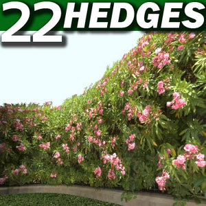 22 Hedges High Resolution