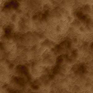 Dry Dirt_02.jpg