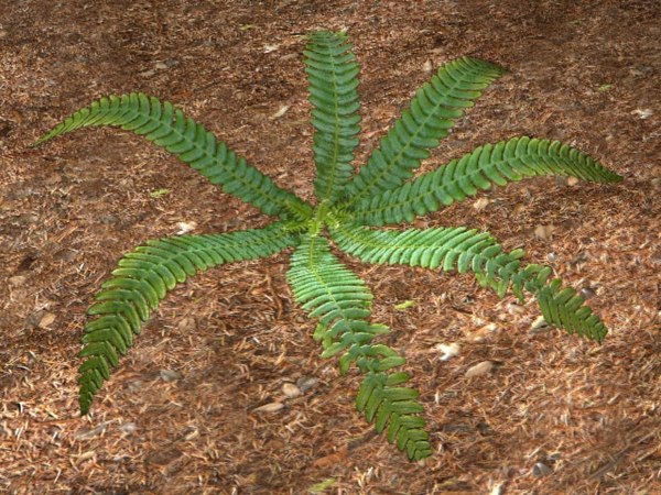 Scripts MaxScript maxscript max MOL