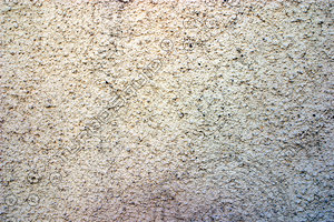 Granulated-Texture-Wall-1.jpg